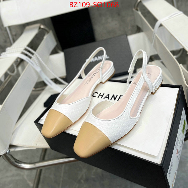 Women Shoes-Chanel,what's the best place to buy replica , ID: SO1068,$: 109USD