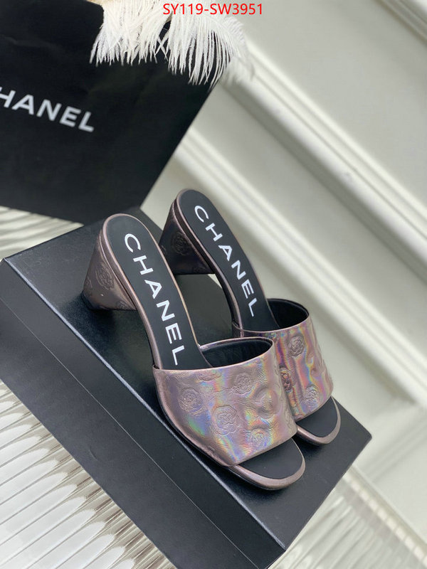 Women Shoes-Chanel,best site for replica , ID: SW3951,$: 119USD