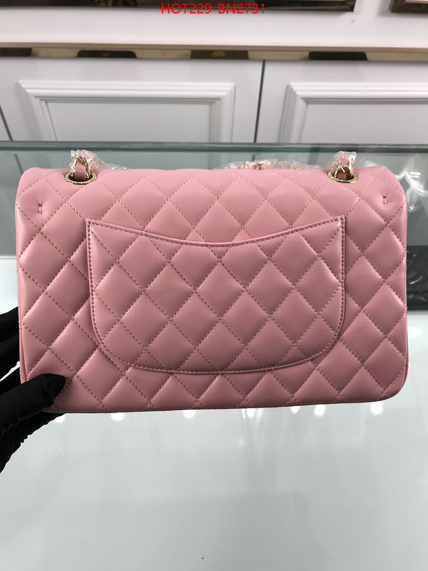 Chanel Bags(TOP)-Diagonal-,ID: BN2731,$: 229USD