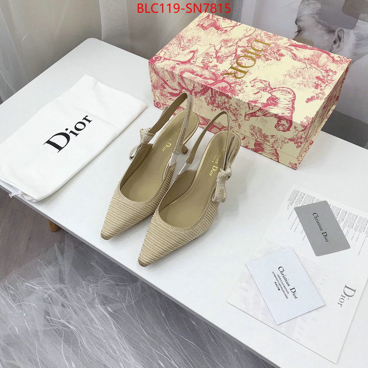 Women Shoes-Dior,shop cheap high quality 1:1 replica , ID: SN7815,$: 119USD