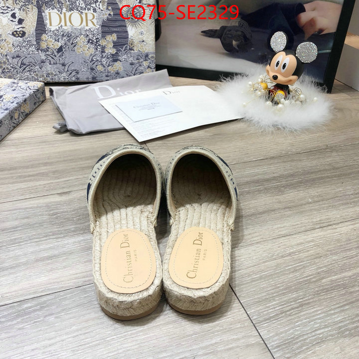 Women Shoes-Dior,sale outlet online , ID: SE2329,$: 85USD