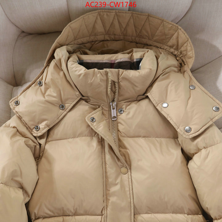 Down jacket Women-Burberry,where to buy , ID: CW1746,$: 239USD