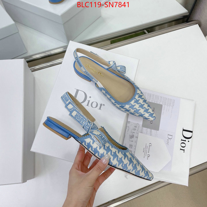 Women Shoes-Dior,outlet 1:1 replica , ID: SN7841,$: 119USD