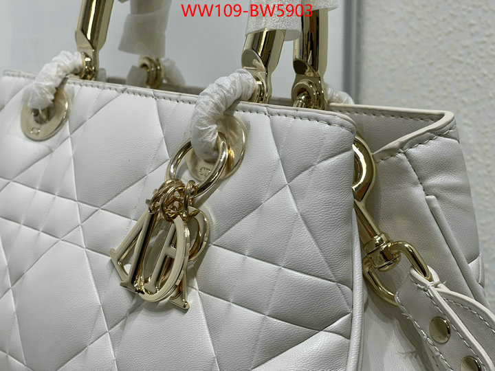 Dior Bags(4A)-Other Style-,ID: BW5903,$: 109USD