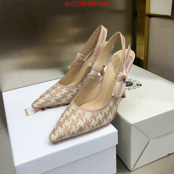 Women Shoes-Dior,we curate the best , ID: SN7843,$: 119USD