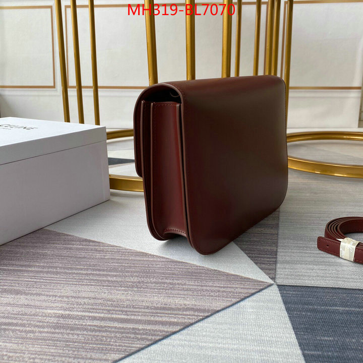 CELINE Bags(TOP)-Classic Series,wholesale replica shop ,ID: BL7070,$: 319USD