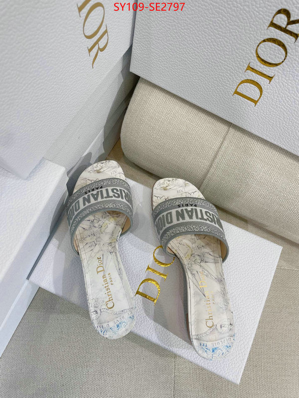 Women Shoes-Dior,shop the best high authentic quality replica , ID: SE2797,$: 109USD