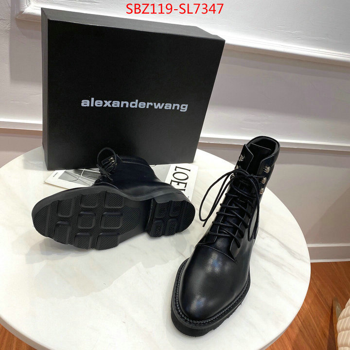 Women Shoes-Alexander Wang,designer fake , ID: SL7347,$: 119USD