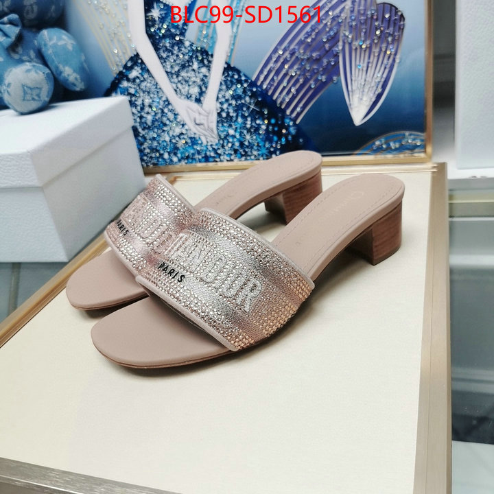 Women Shoes-Dior,best site for replica , ID: SD1561,$: 99USD