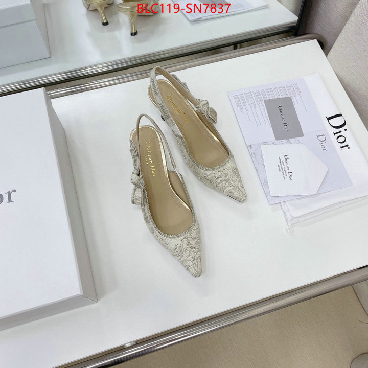 Women Shoes-Dior,replicas , ID: SN7837,$: 119USD