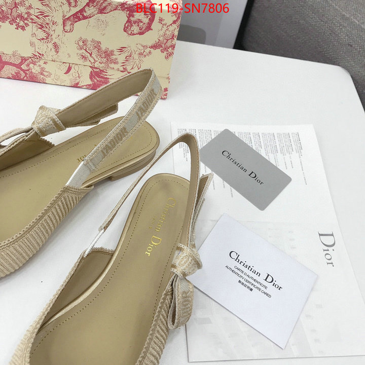 Women Shoes-Dior,how to find replica shop , ID: SN7806,$: 119USD