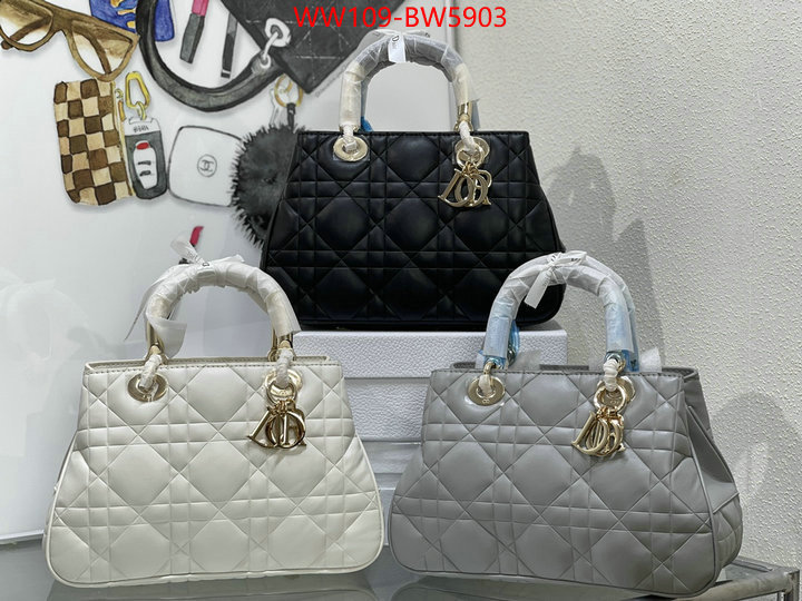 Dior Bags(4A)-Other Style-,ID: BW5903,$: 109USD