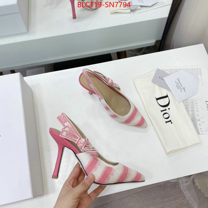 Women Shoes-Dior,online store , ID: SN7794,$: 119USD