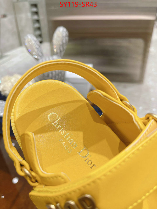 Women Shoes-Dior,is it ok to buy replica , ID: SR43,$: 119USD