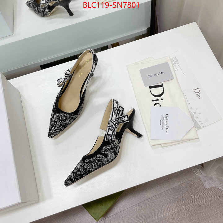 Women Shoes-Dior,what 1:1 replica , ID: SN7801,$: 119USD