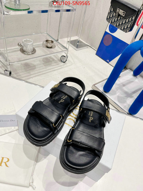 Women Shoes-Dior,perfect quality designer replica , ID: SN9565,$: 109USD