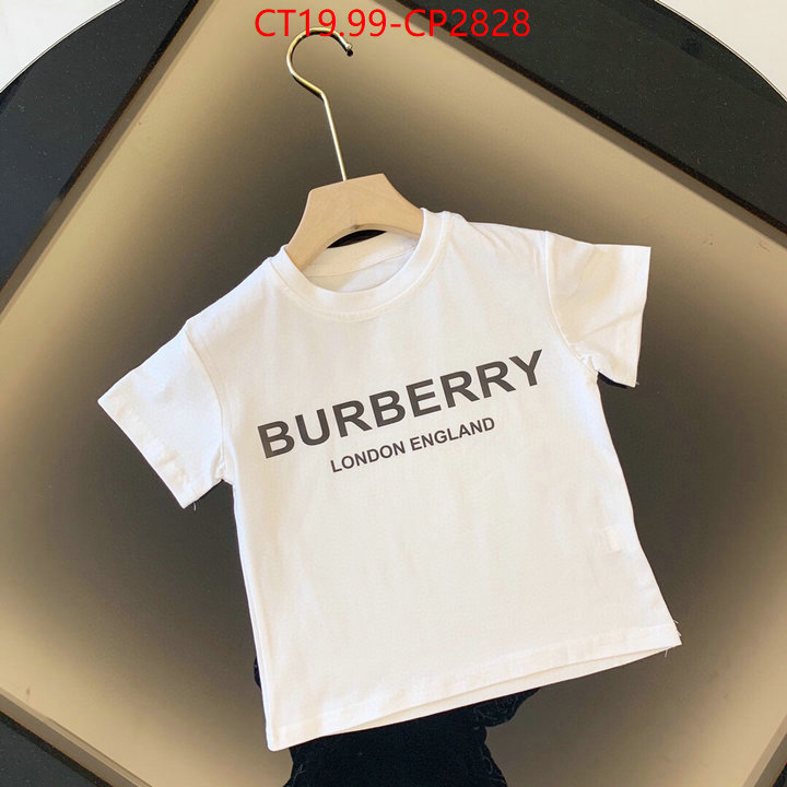 Kids clothing-Burberry,high quality , ID: CP2828,