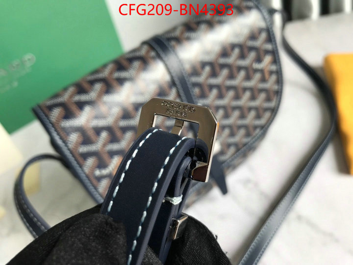 Goyard Bags(TOP)-Diagonal-,ID: BN4393,$: 209USD