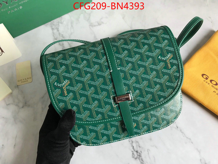 Goyard Bags(TOP)-Diagonal-,ID: BN4393,$: 209USD