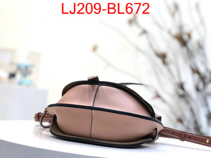 Loewe Bags(TOP)-Diagonal-,the best ,ID: BL672,$:209USD