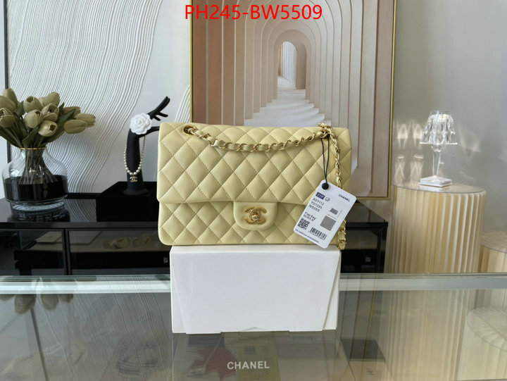 Chanel Bags(TOP)-Diagonal-,ID: BW5509,$: 245USD