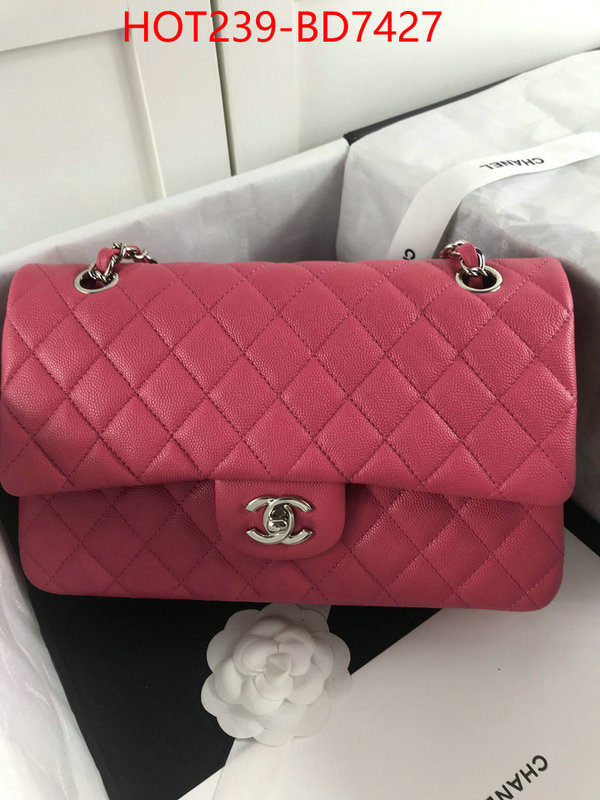 Chanel Bags(TOP)-Diagonal-,ID: BD7427,$: 239USD