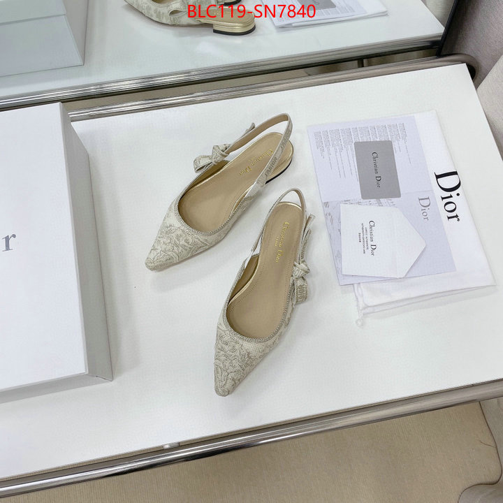 Women Shoes-Dior,replica designer , ID: SN7840,$: 119USD