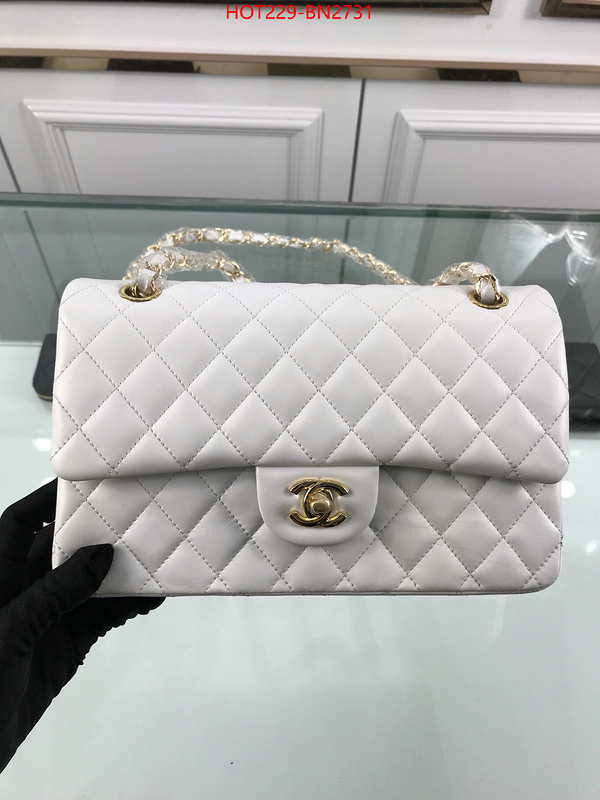 Chanel Bags(TOP)-Diagonal-,ID: BN2731,$: 229USD