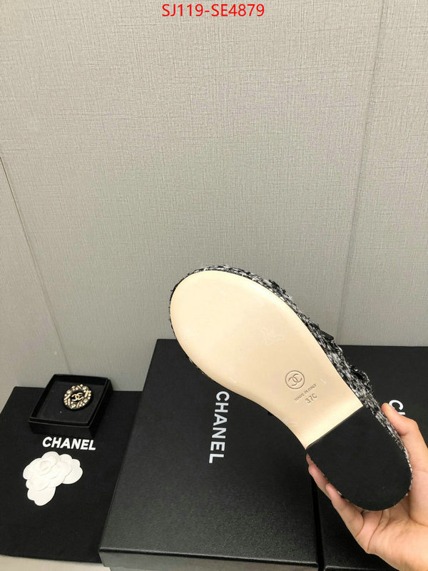 Women Shoes-Chanel,cheap replica designer , ID: SE4879,$: 119USD