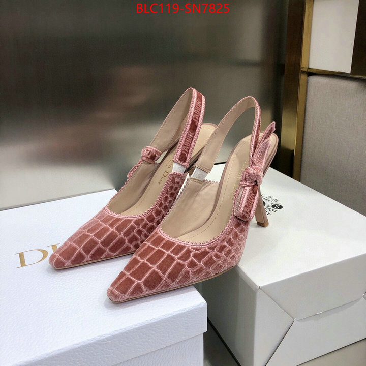 Women Shoes-Dior,buy 1:1 , ID: SN7825,$: 119USD