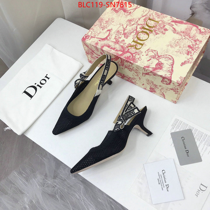 Women Shoes-Dior,shop cheap high quality 1:1 replica , ID: SN7815,$: 119USD