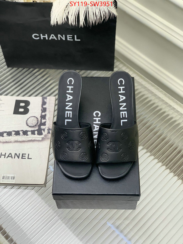 Women Shoes-Chanel,best site for replica , ID: SW3951,$: 119USD