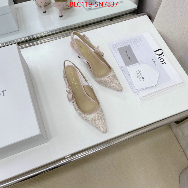 Women Shoes-Dior,replicas , ID: SN7837,$: 119USD