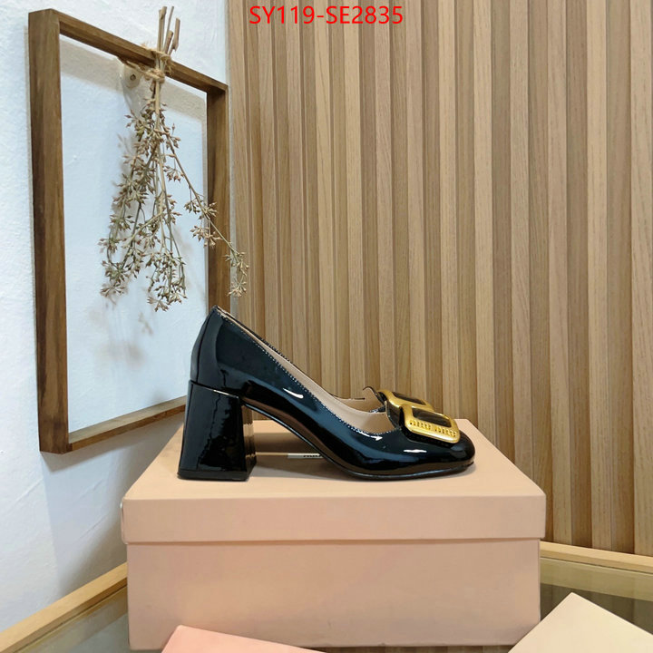 Women Shoes-Miu Miu,aaaaa replica designer , ID: SE2835,$: 119USD