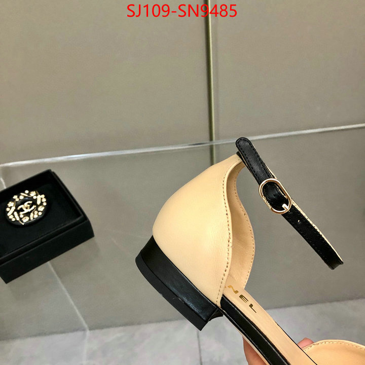 Women Shoes-Chanel,perfect replica , ID: SN9485,$: 109USD