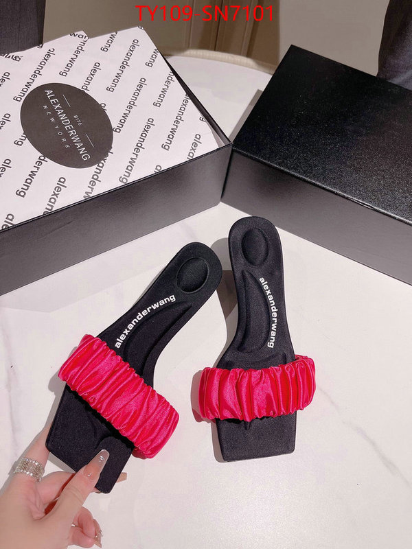 Women Shoes-Alexander Wang,cheap wholesale , ID: SN7101,$: 109USD