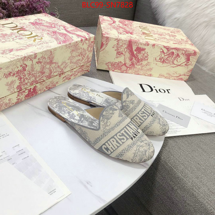 Women Shoes-Dior,1:1 replica wholesale , ID: SN7828,$: 99USD