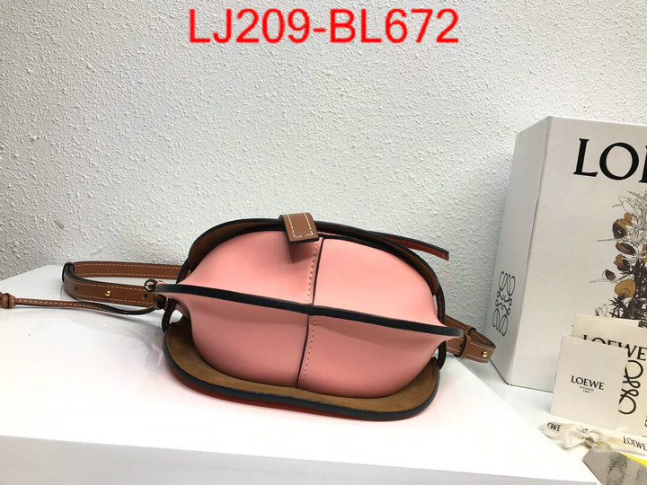 Loewe Bags(TOP)-Diagonal-,the best ,ID: BL672,$:209USD