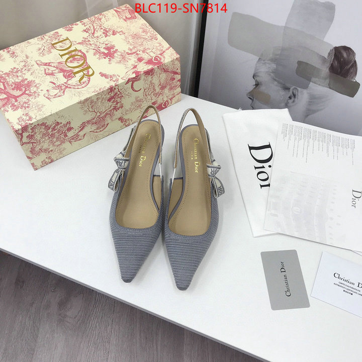 Women Shoes-Dior,how to find replica shop , ID: SN7814,$: 119USD