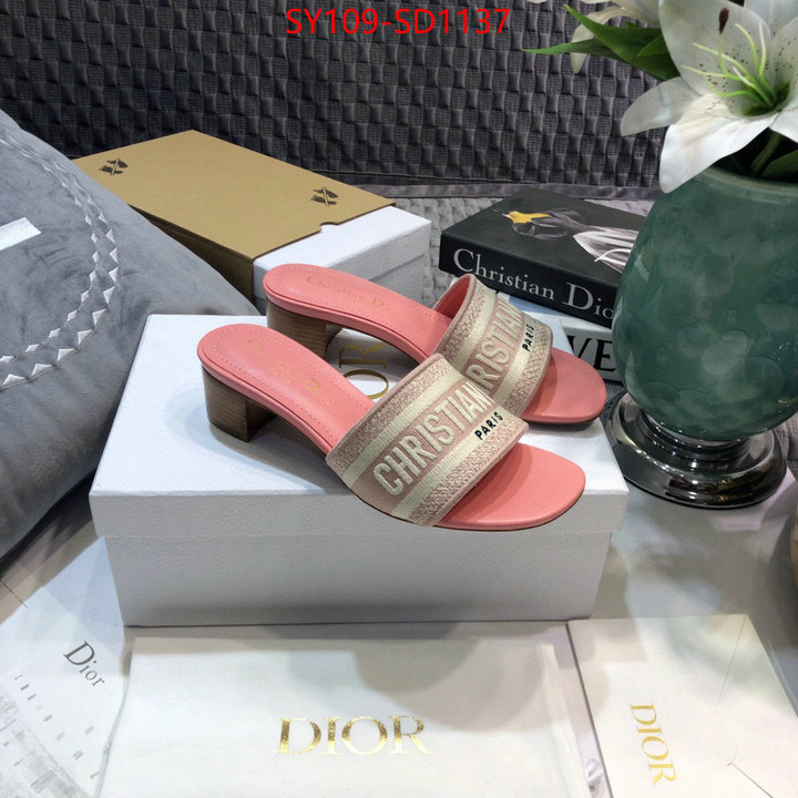 Women Shoes-Dior,wholesale replica , ID: SD1137,$: 109USD