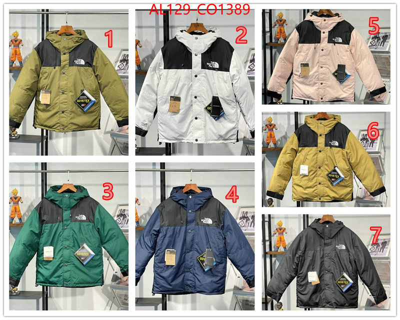 Down jacket Men-The North Face,wholesale sale , ID: CO1389,$: 175USD