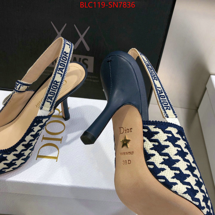 Women Shoes-Dior,what's the best to buy replica , ID: SN7836,$: 119USD