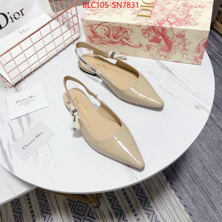 Women Shoes-Dior,aaaaa customize , ID: SN7831,$: 105USD