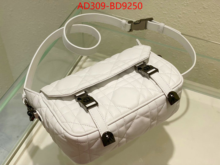 Dior Bags(TOP)-Other Style-,ID: BD9250,$: 309USD