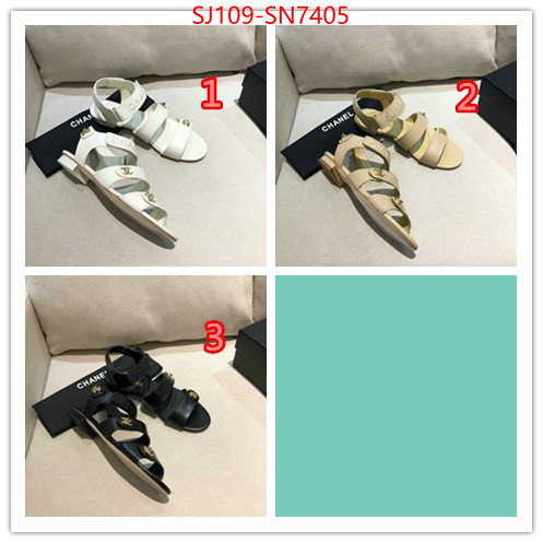 Women Shoes-Chanel,fake cheap best online , ID: SN7405,$: 109USD