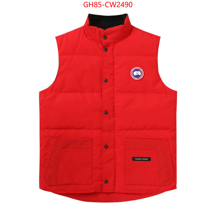 Down jacket Women-Canada Goose,replica wholesale , ID: CW2490,$: 85USD