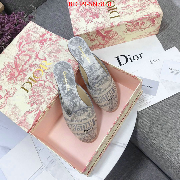 Women Shoes-Dior,1:1 replica wholesale , ID: SN7828,$: 99USD