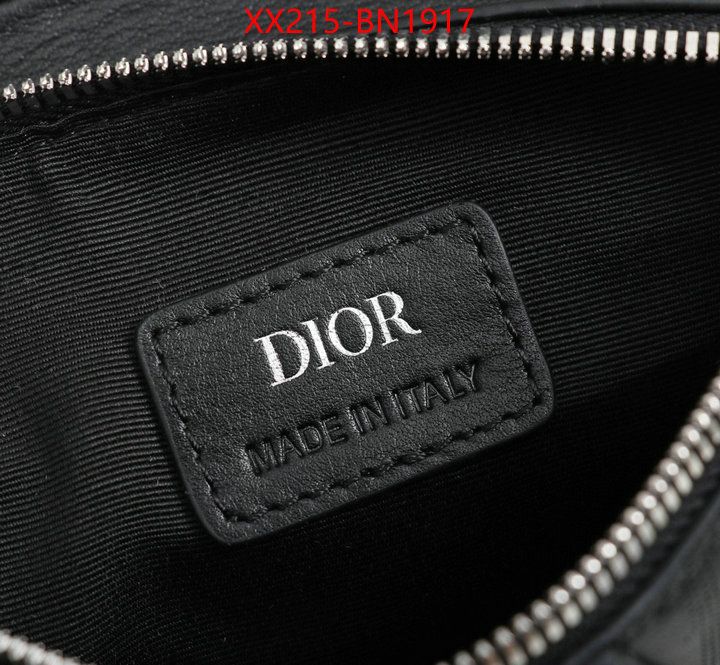 Dior Bags(TOP)-Saddle-,ID: BN1917,$: 215USD