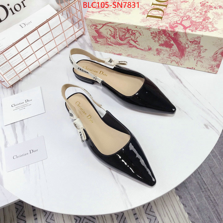 Women Shoes-Dior,aaaaa customize , ID: SN7831,$: 105USD