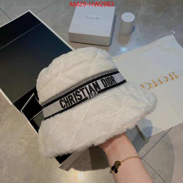 Cap (Hat)-Dior,we curate the best , ID: HW2983,$: 29USD